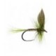 Olive Dun