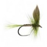 Olive Dun