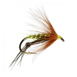 Olive Hopper - 1