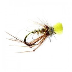 Popper Hopper Hares Ear - 1