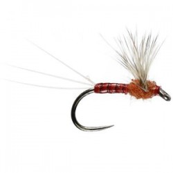 Sherry Spinner - 1