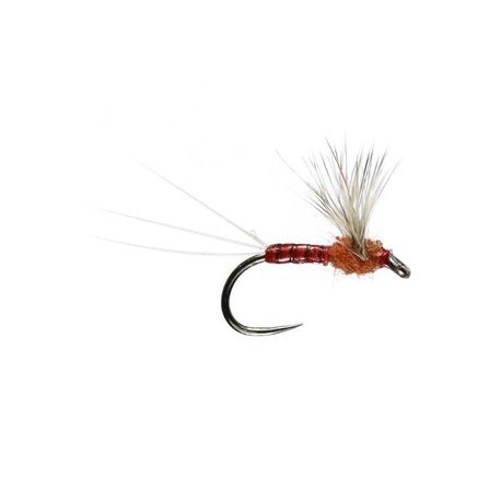 Sherry Spinner - 1