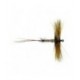 Spent Hackled Mayfly - 1