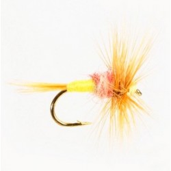 Tups Indispensable - 1