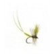Two Feathered Mayfly