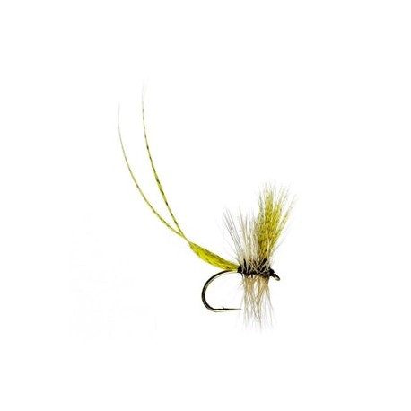 Two Feathered Mayfly - 1