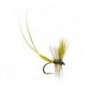 Two Feathered Mayfly