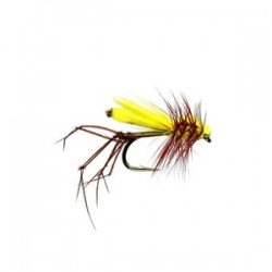 Yellow Foam Daddy - 1