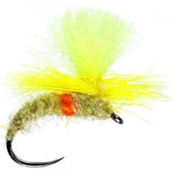 Yellow May Klinkhammer - 1