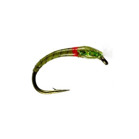 3D Olive Epoxy Buzzer - 1