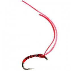 Super Flex Buzzer  Bloodworm - 1