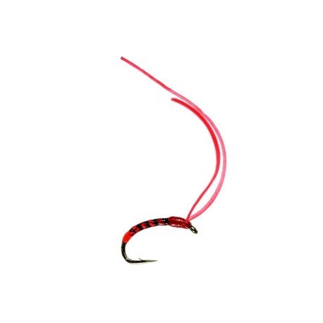 Super Flex Buzzer  Bloodworm - 1