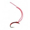 Super Flex Buzzer  Bloodworm