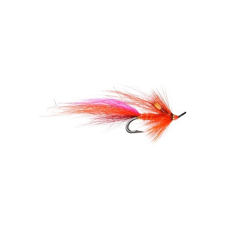 Calvin Shrimp Salmon Double - 1