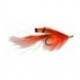 General Practitioner Orange - 1