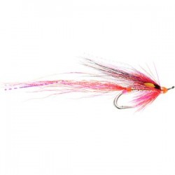 Lady Meikleour Salmon Double