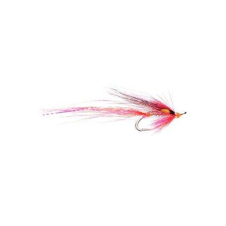Lady Meikleour Salmon Double - 1