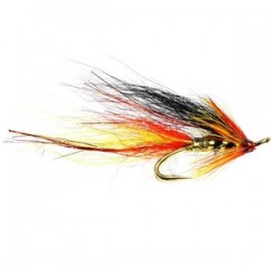 Park Shrimp Gold Double