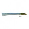 Ccg Surf Candy Eel