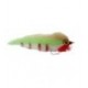 Everglades Special Bait Fish - 1