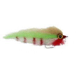 Everglades Special Bait Fish