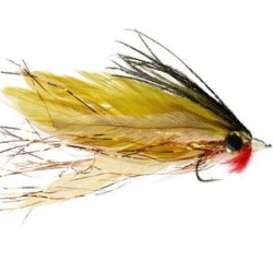 Pollock Fly - 1