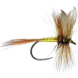 Greenwells Glory Barbless - 1