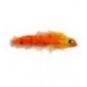Tarpon Bunny Orange - 1
