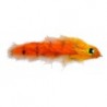 Tarpon Bunny Orange