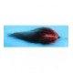 Tarpon Streamer Black and Red - 1