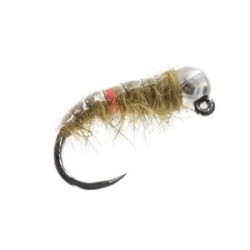 Euro Shrimp Barbless