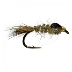 Gold Ribbed Hares Ear Unweighted