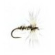 Gold Ribbed Hares Ear