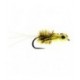 Heptagenid Nymph