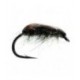 Hog Louse - 1