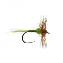 Hatching Olive Hackled Dry Barbless - 1