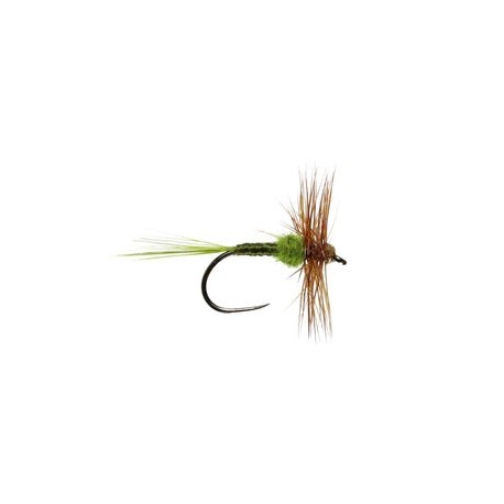 Hatching Olive Hackled Dry Barbless - 1