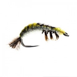 Hydrosyche Larva Czech Nymph Barbless - 1