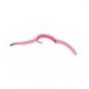 San Juan Worm Pink - 1
