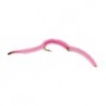 San Juan Worm Pink