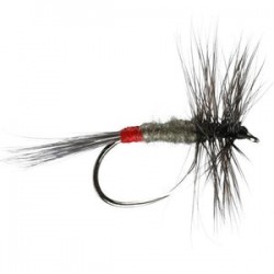 Iron Blue Dun Barbless - 1