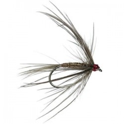 Iron Blue Jingler Barbless - 1