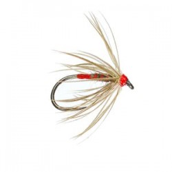 Iron Blue Spider Barbless - 1