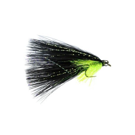 Black Cats Whisker - 1