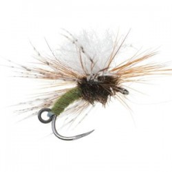 Jingle Ring Barbless - 1