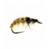 Czech Tan Bug P