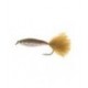Glass Minnow Rainbow - 1