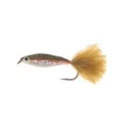 Glass Minnow Rainbow - 1