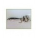 Grizzly Tail - 1