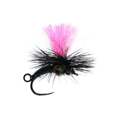 Klink And Dink Black Midge Barbless - 1